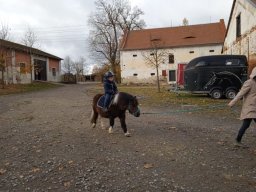Podzimní výlet